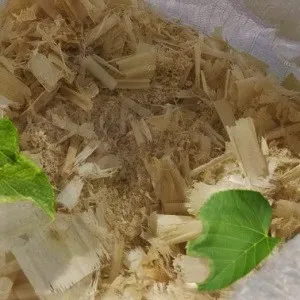 Лиственные опилки оптом в Батайске от завода-производителя Лигнум Ресурс