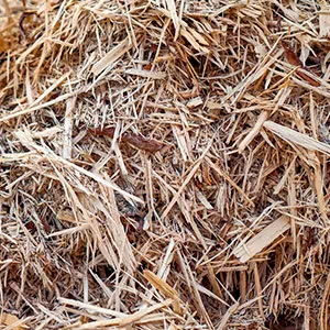 Щепа для арболита оптом в Батайске и других различных марок заказать от 16 тонн